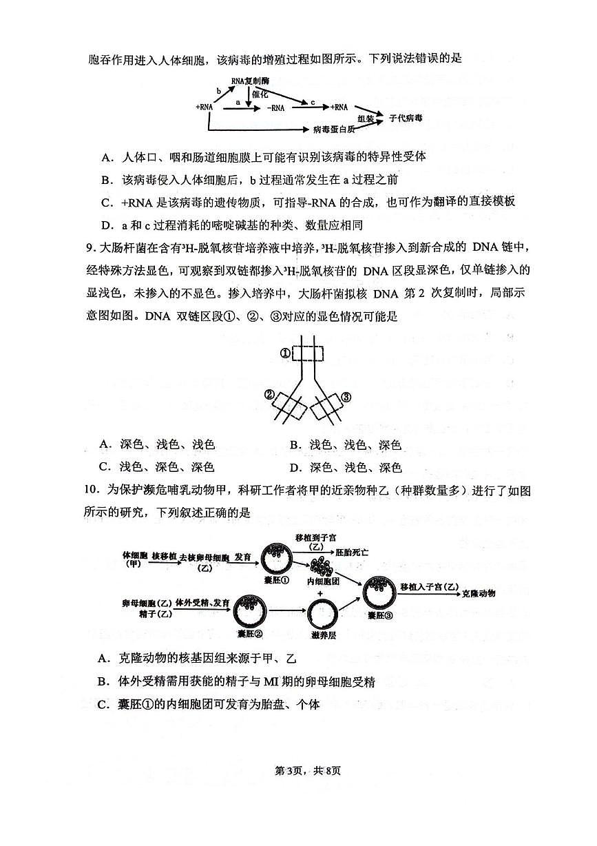 四川省绵阳南山中学2026届高三上学期第一次教学质量检测生物试卷（PDF版附解析）第3页