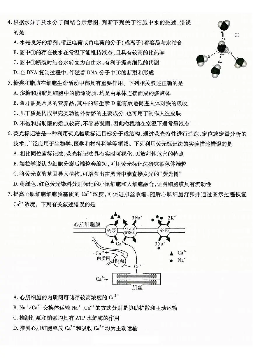 重庆市南开中学高2026届高三第一次质量检测 生物第2页