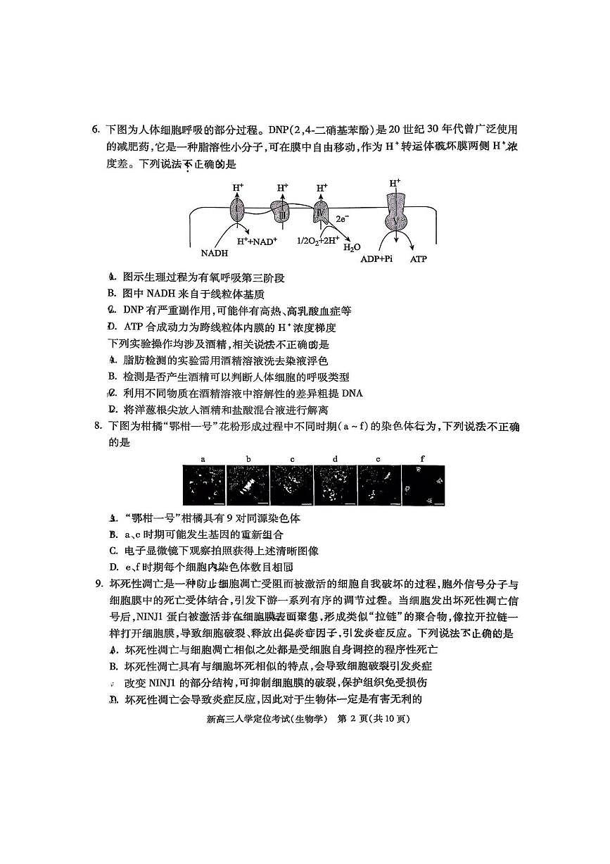 北京市海淀区2025～2026学年高三上开学生物试卷(含答案)第2页