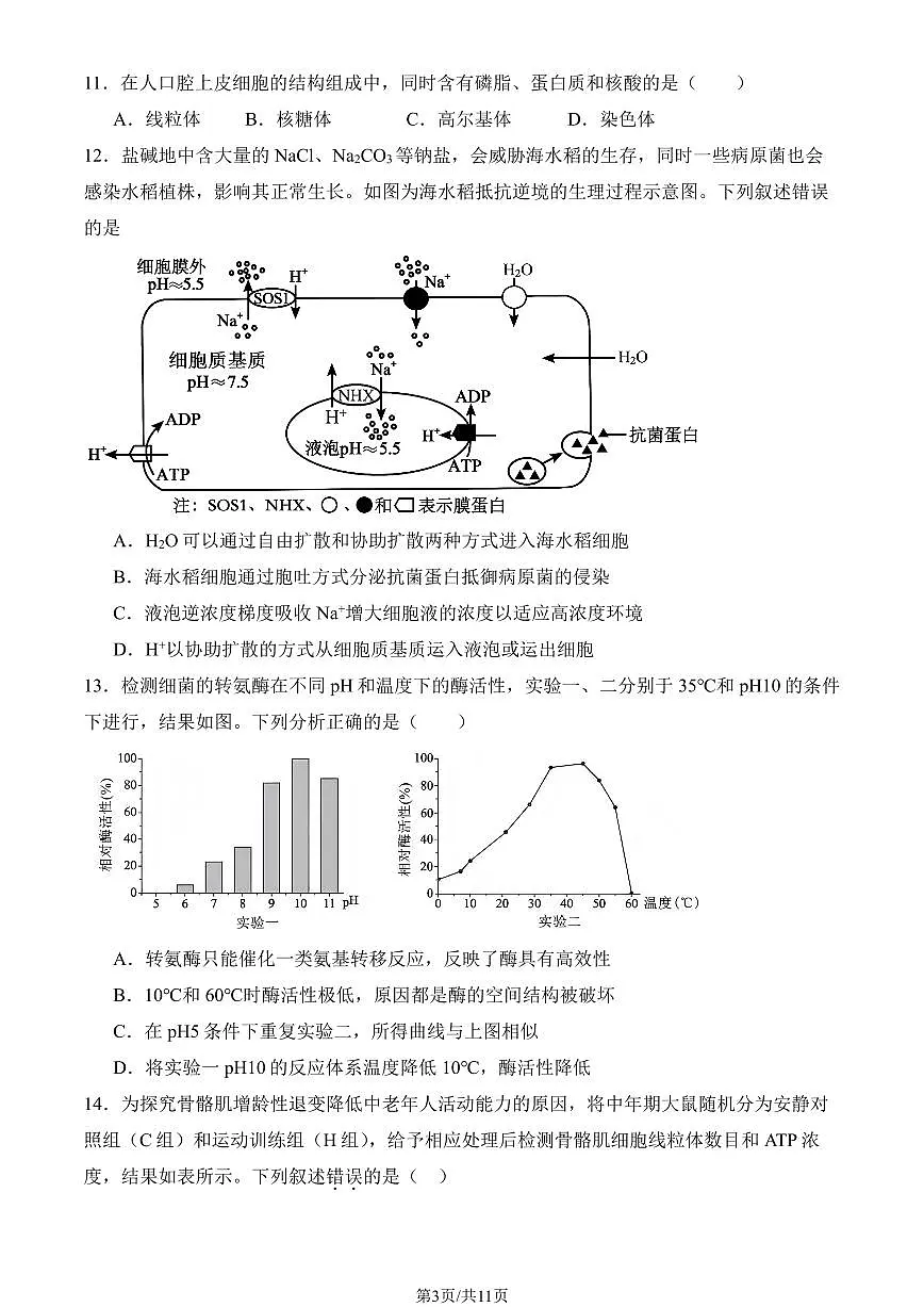 2025北京十一学校顺义学校高三（上）开学考生物（教师版）第3页