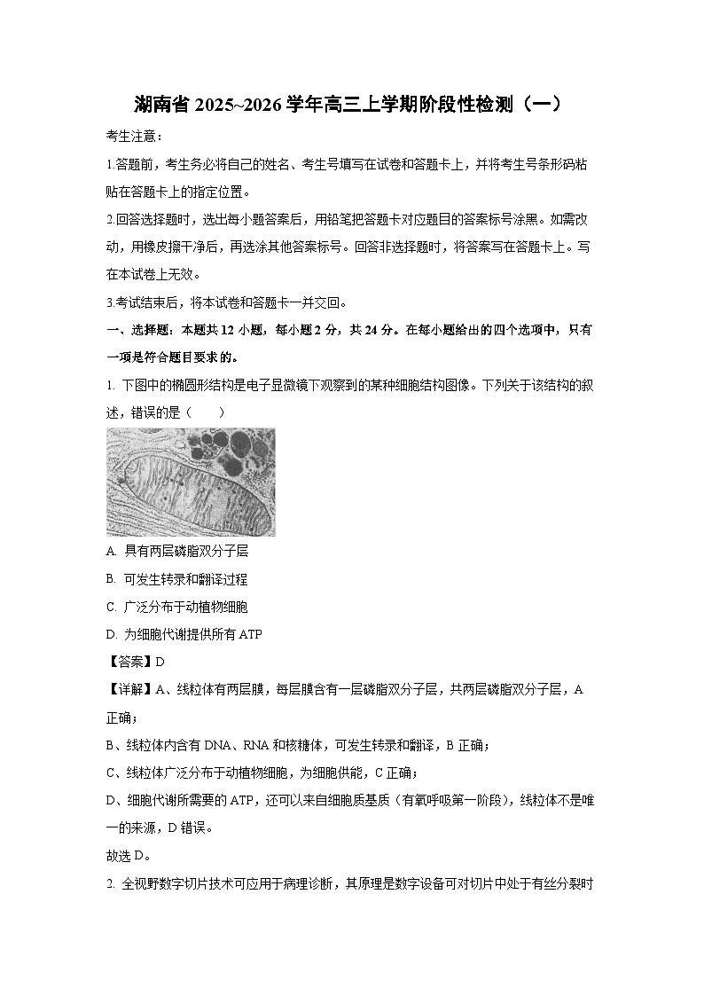 湖南省2025~2026学年高三上学期阶段性检测（一）生物试卷（解析版）第1页