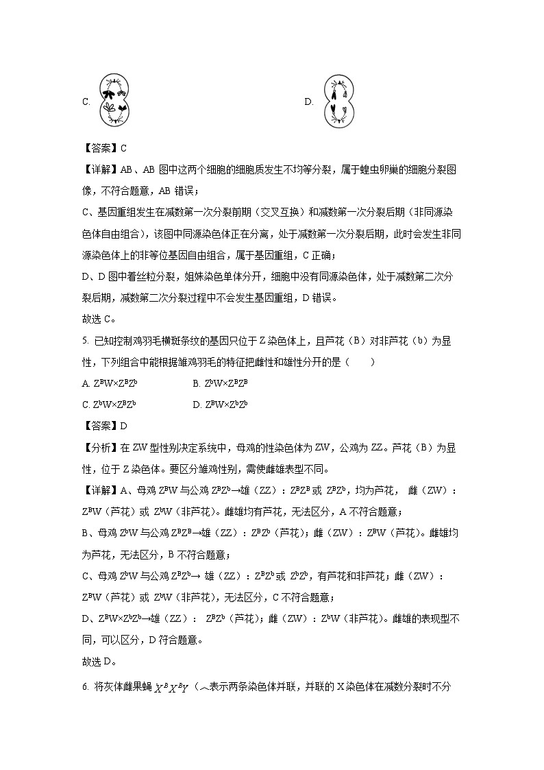 广东省东莞市2024-2025学年高一下学期期末质量检查学生物试卷（解析版）第3页