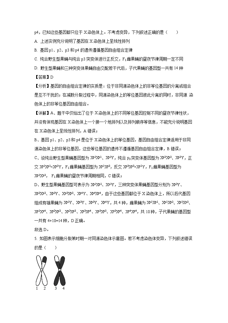 河南省商丘市2024-2025学年高一下学期7月期末生物试卷（解析版）第3页