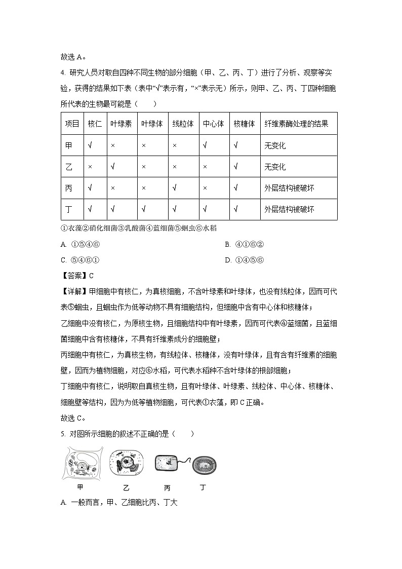 湖北省新高考联考协作体2024-2025学年高一上学期9月月考生物试卷（解析版）第3页