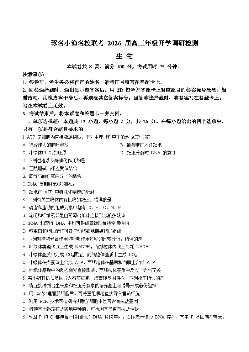 河北省琢名小渔名校联考2026届高三上学期开学调研检测生物试题（Word版附答案）第1页