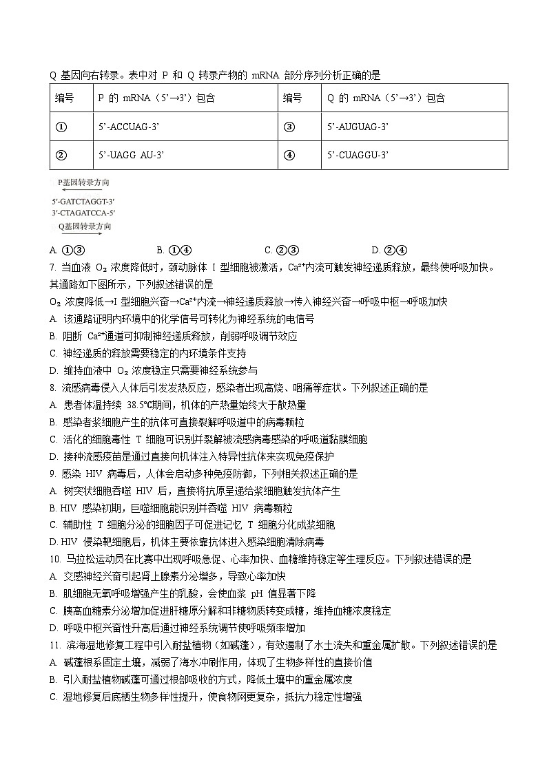 河北省琢名小渔名校联考2026届高三上学期开学调研检测生物试题（Word版附答案）第2页