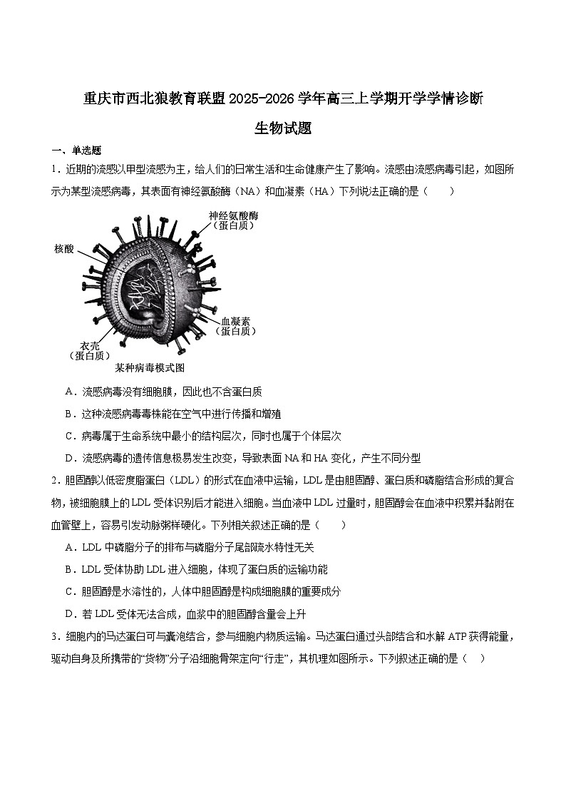 重庆市西北狼教育联盟2026届高三上学期开学学情诊断生物试题（Word版附答案）第1页