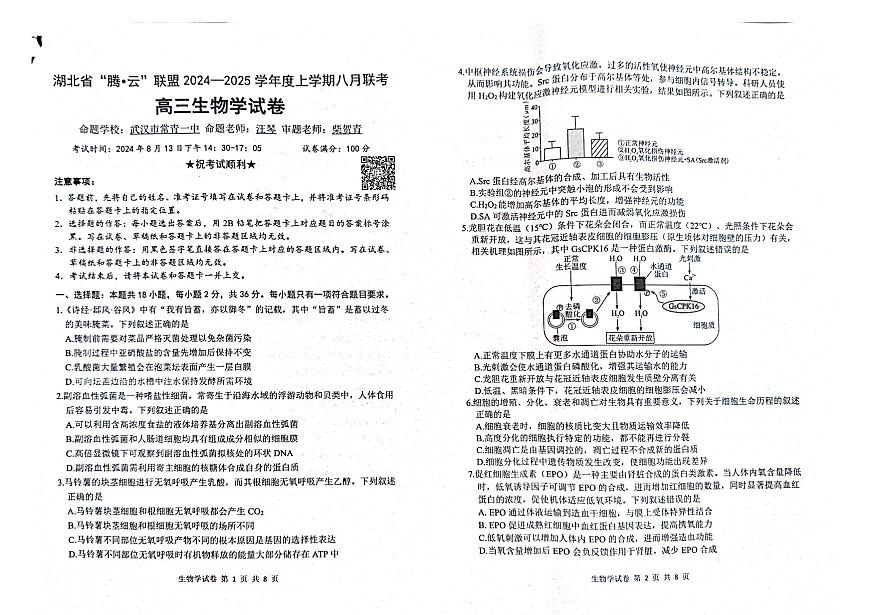 湖北省腾云联盟2024-2025学年高三上学期8月联考生物试卷+答案第1页
