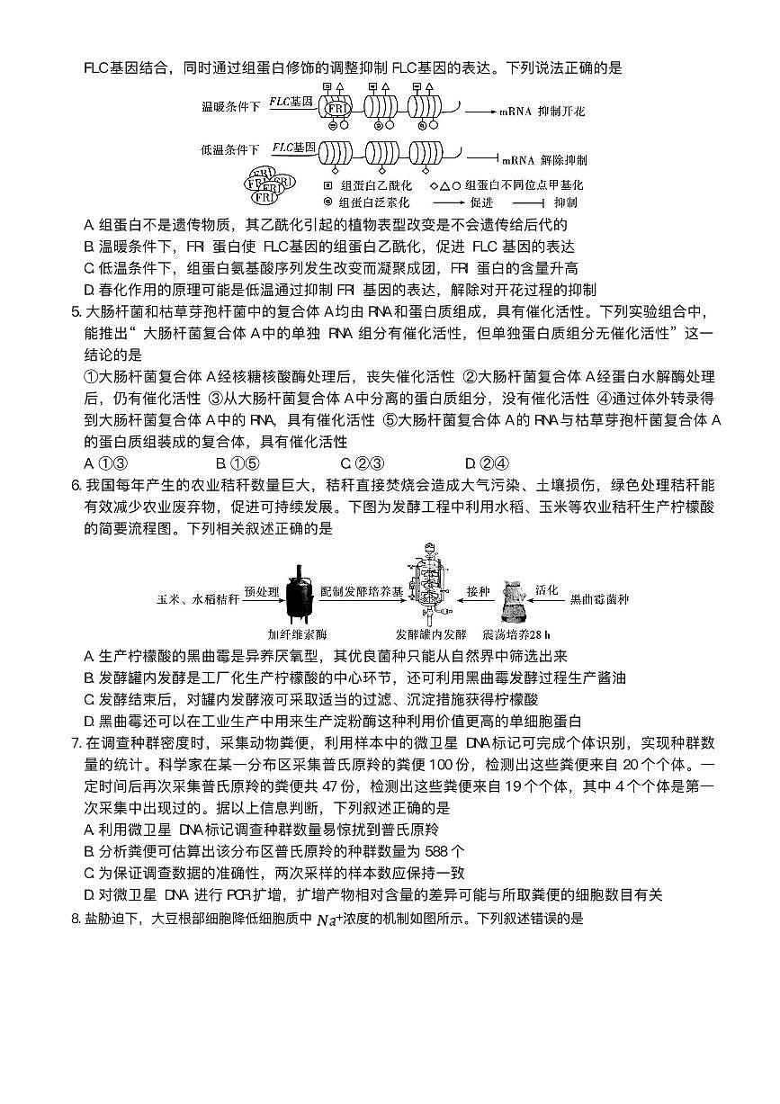 湖南省长沙市湖南师范大学附属中学2025届高三下学期模拟试卷（二）生物（含答案）第2页