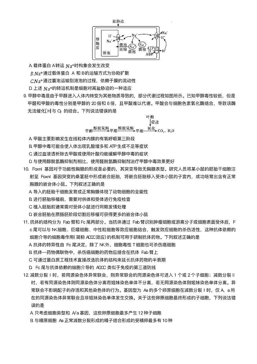 湖南省长沙市湖南师范大学附属中学2025届高三下学期模拟试卷（二）生物（含答案）第3页