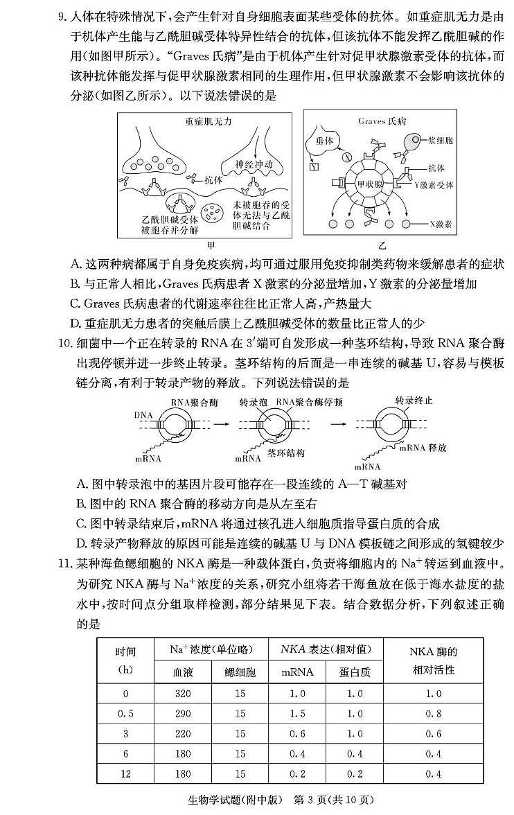 湖南省长沙市湖南师范大学附属中学2024-2025学年高三上学期月考卷（四）生物试卷第3页