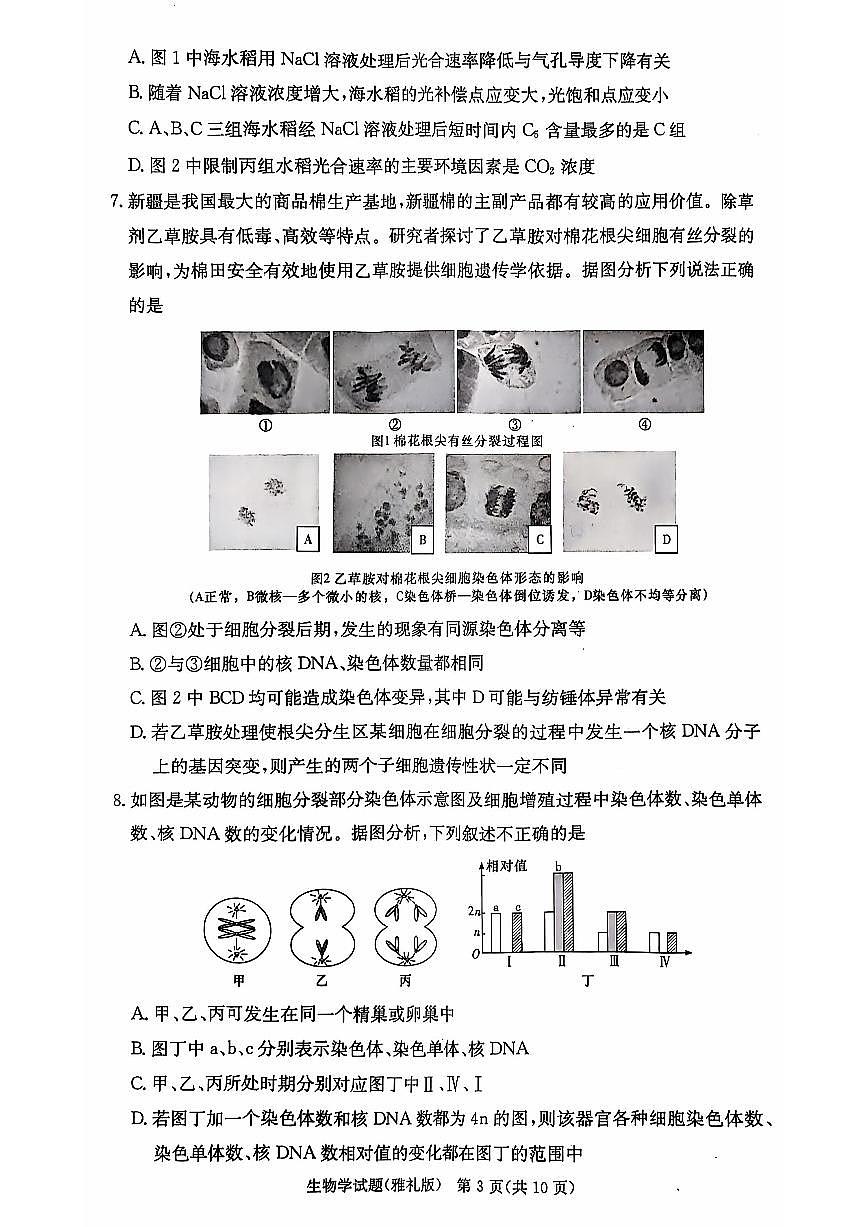 湖南省长沙市雅礼中学2024-2025学年高三上学期月考（三）生物试题+答案第3页
