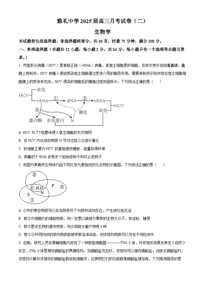 湖南省长沙市雅礼中学2025届高三上学期月考（二）生物试题第1页