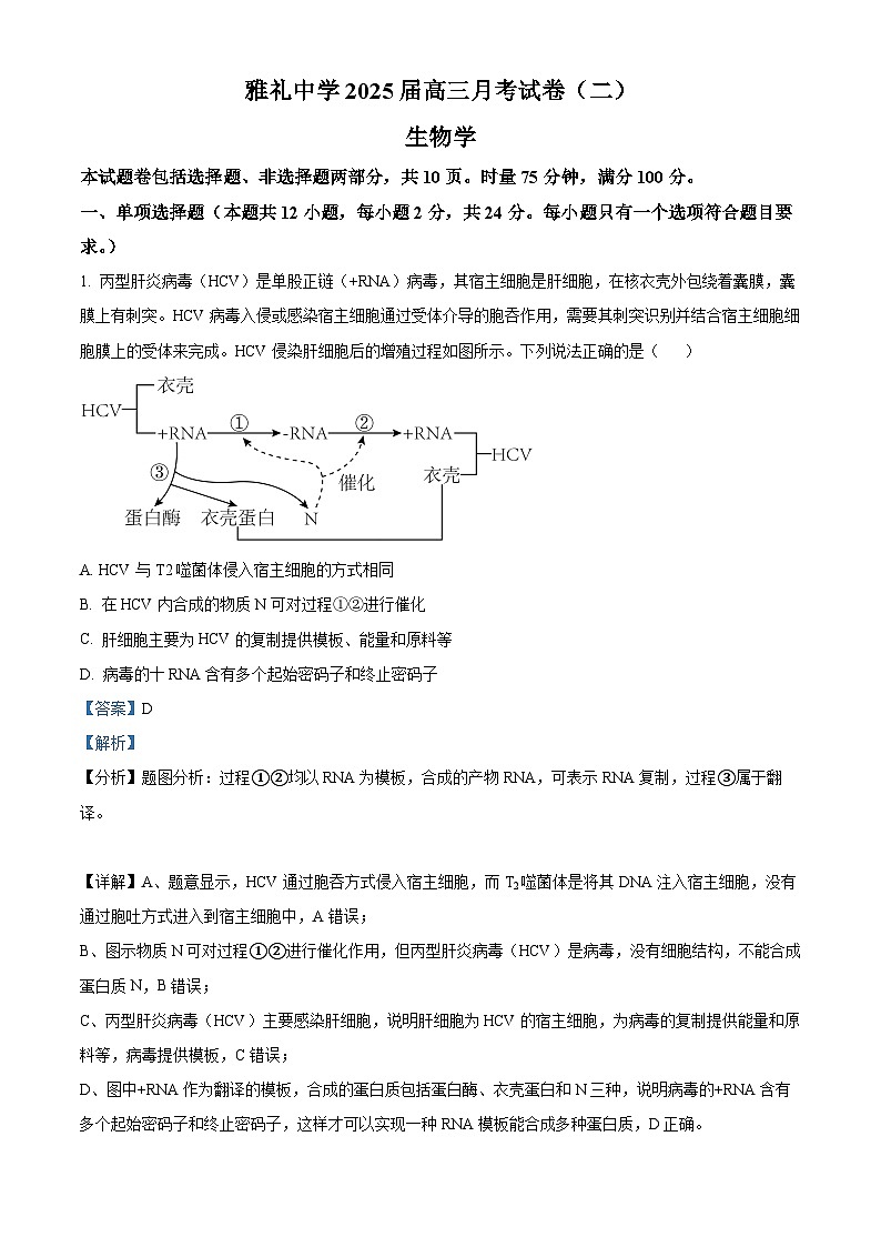湖南省长沙市雅礼中学2025届高三上学期月考（二）生物试题+答案第1页