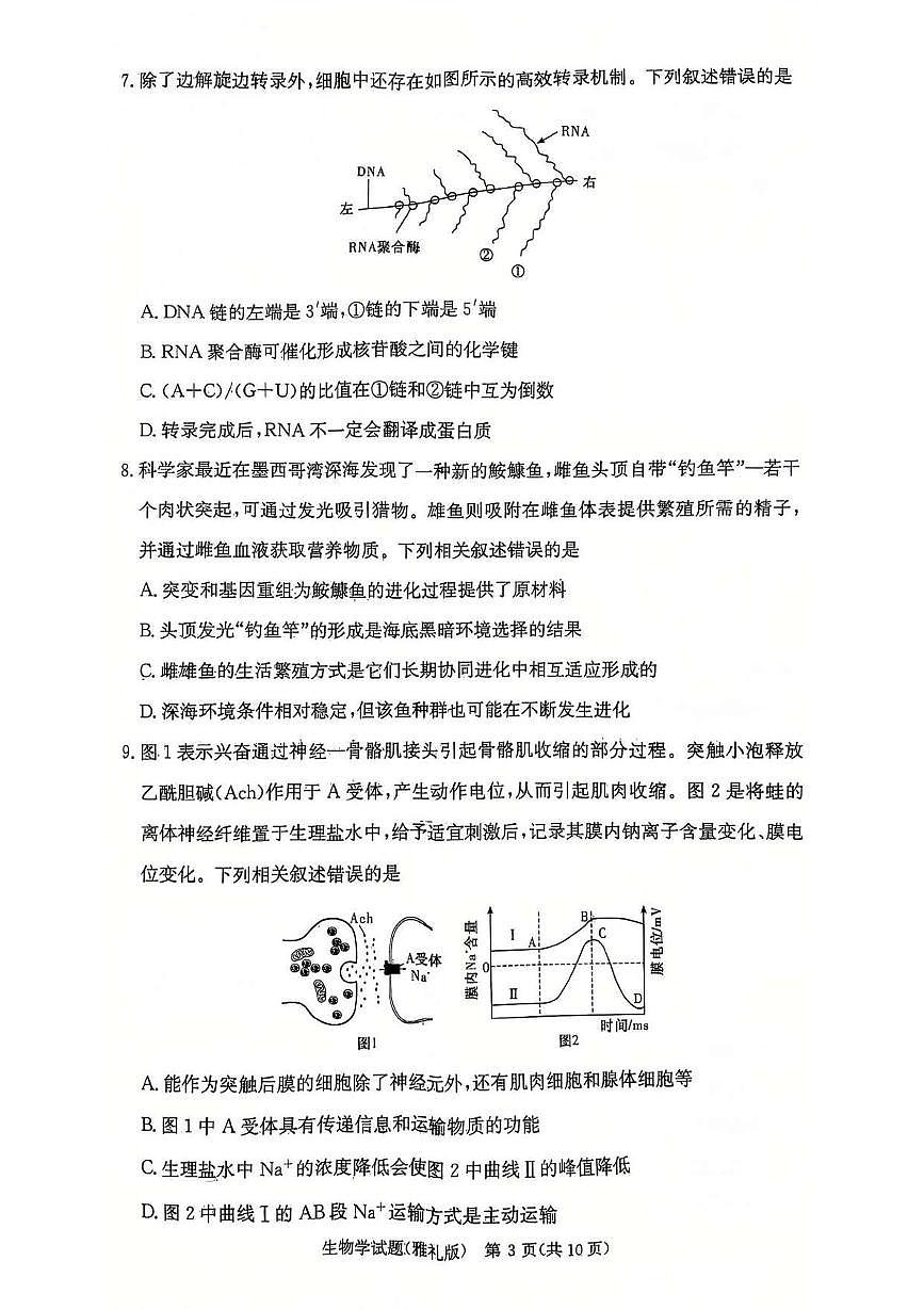 湖南省长沙市雅礼中学2024-2025学年高三上学期月考生物试卷+答案第3页