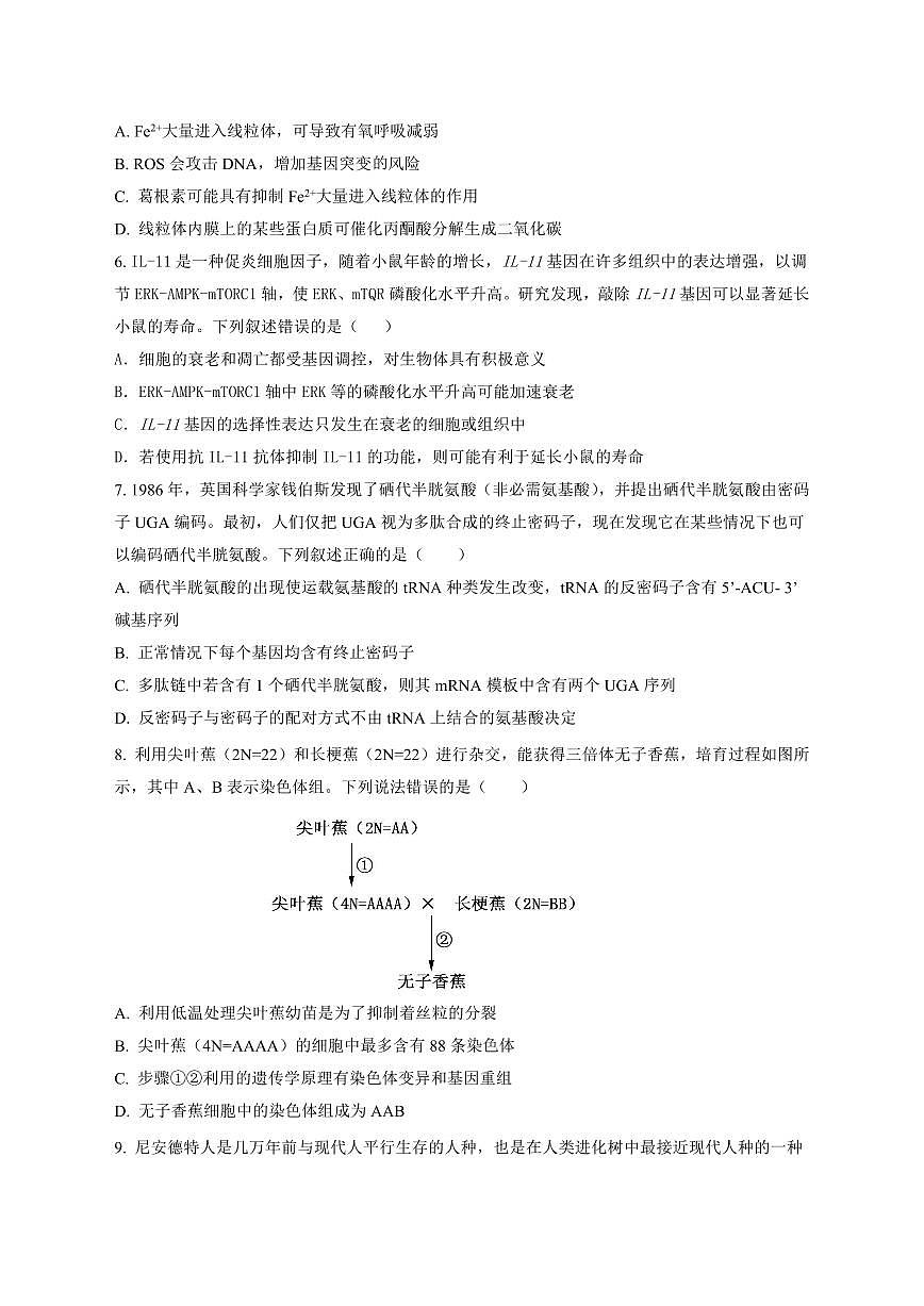 湖南省浏阳市联盟校2024-2025学年高三上学期12月联考生物试卷+答案第2页