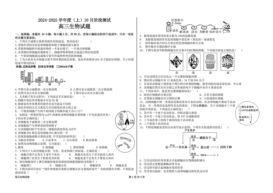 2025届黑龙江省佳木斯八中高三下学期10月考-生物试卷（学生版）第1页