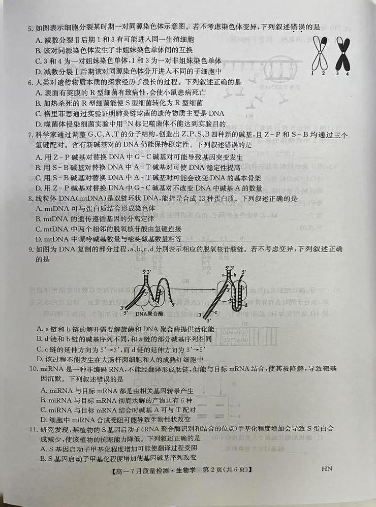 河南省商丘市2024-2025学年高一下学期期末考试生物试题（PDF版附解析）第2页