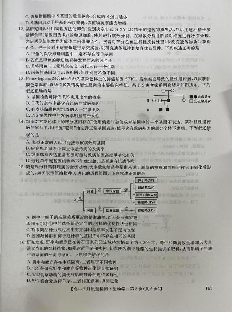 河南省商丘市2024-2025学年高一下学期期末考试生物试题（PDF版附解析）第3页