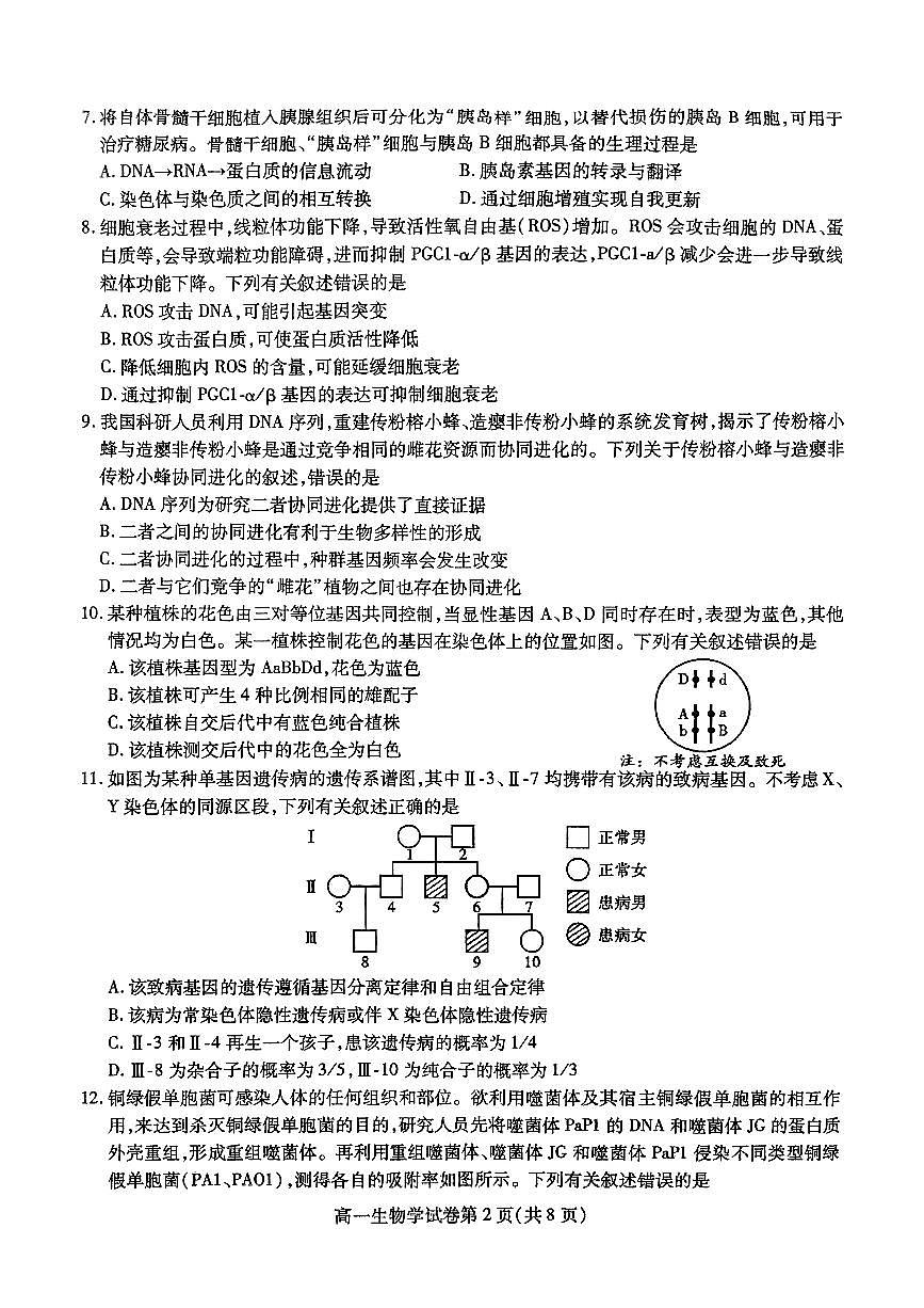 四川省内江市2024-2025学年高一下学期期末考试生物试题（PDF版附答案）第2页