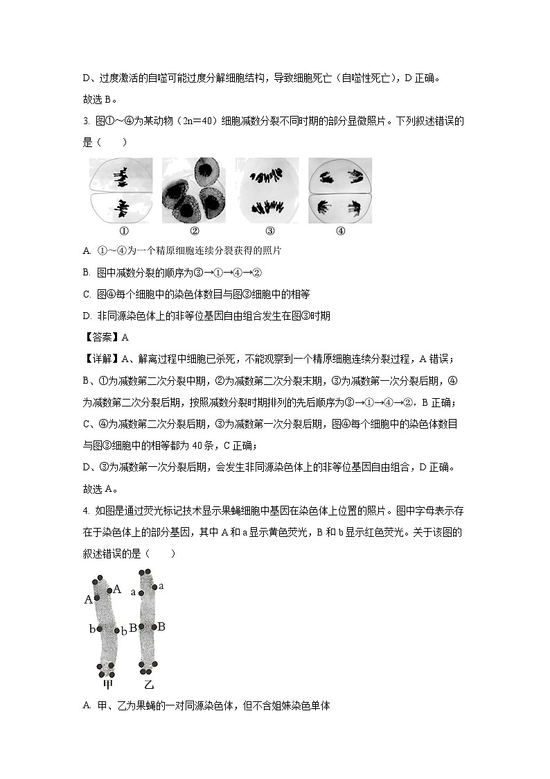 安徽省蚌埠市2024-2025学年高一下学期7月期末生物试卷（解析版）第2页