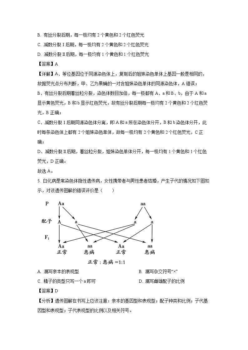 安徽省蚌埠市2024-2025学年高一下学期7月期末生物试卷（解析版）第3页
