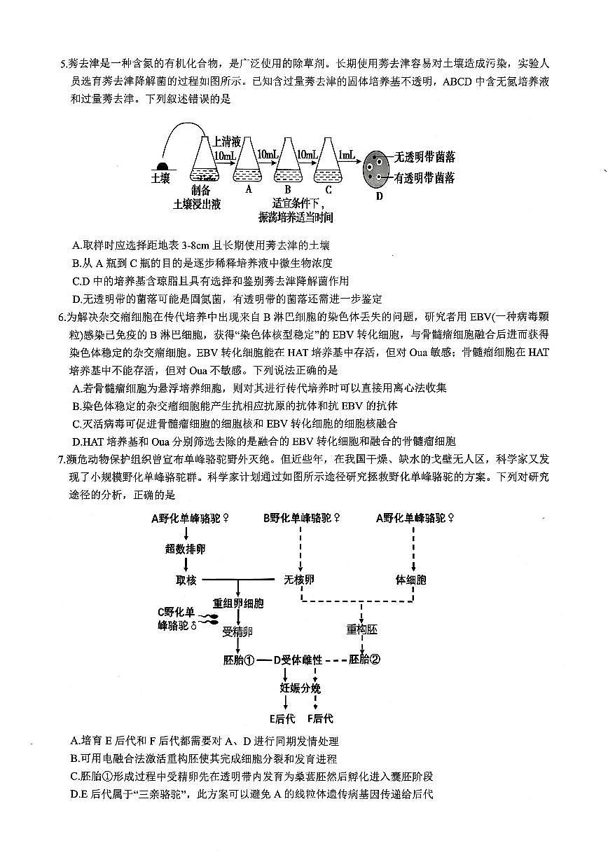 重庆一中高2026届高三上期开学考试-生物试卷+答案第2页