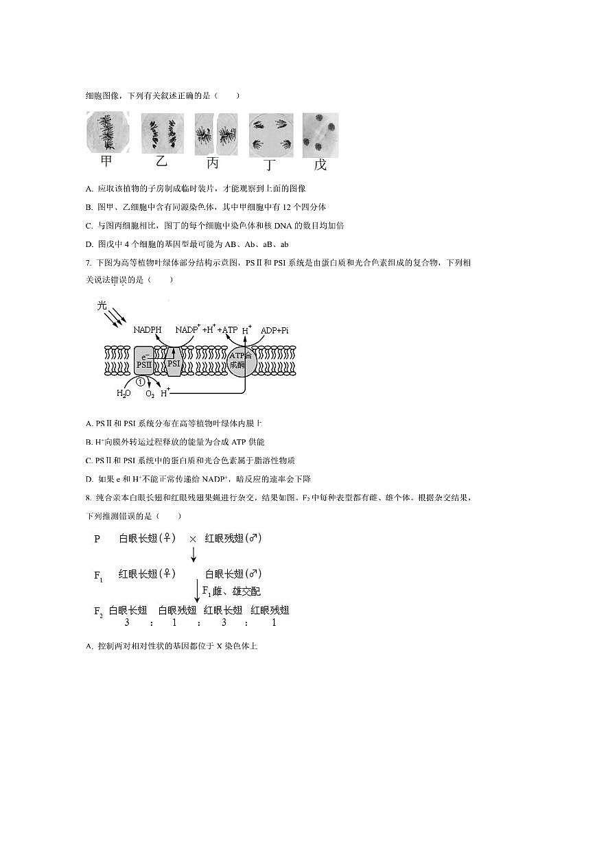 北京市和平街一中2025～2026学年高三上开学生物试卷(含答案)第2页