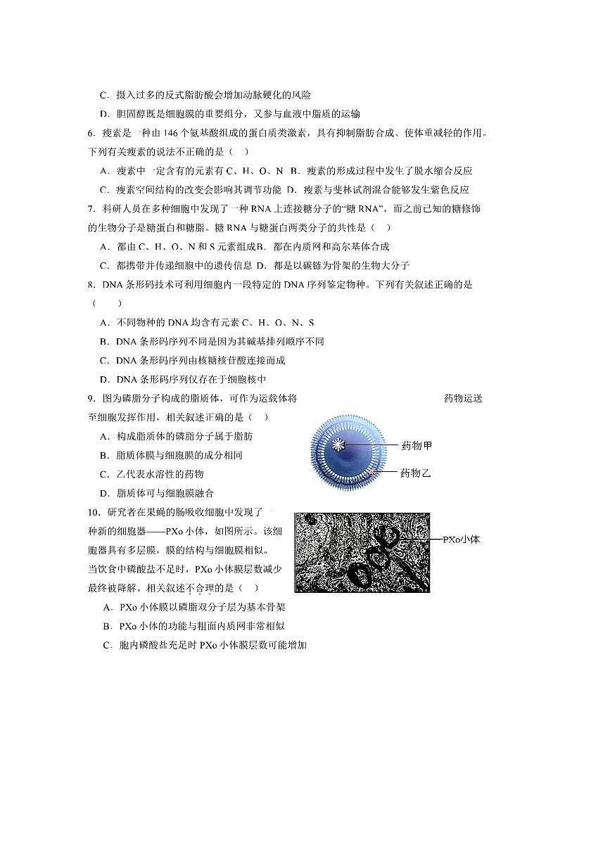 北京市顺义区第十一中学2025～2026学年高三上开学生物试卷(含答案)第2页
