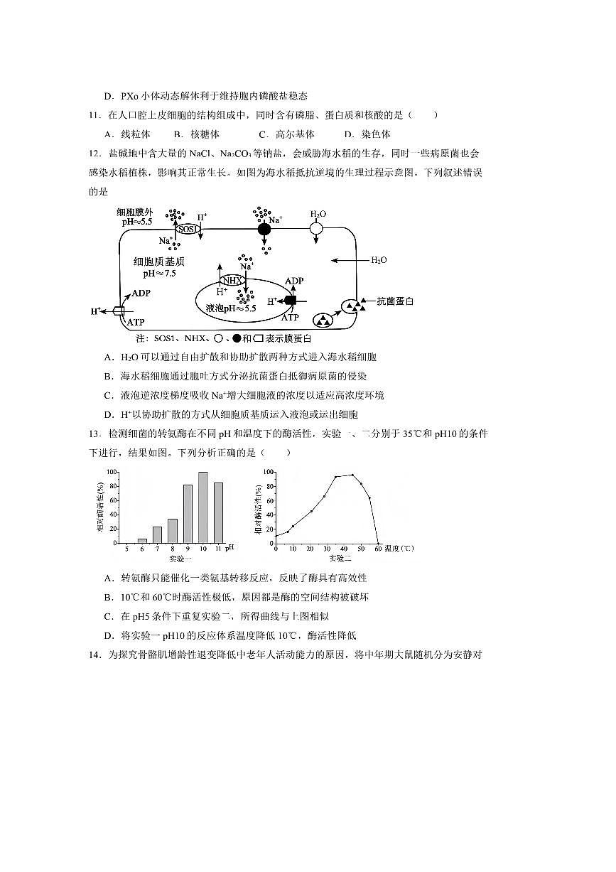 北京市顺义区第十一中学2025～2026学年高三上开学生物试卷(含答案)第3页