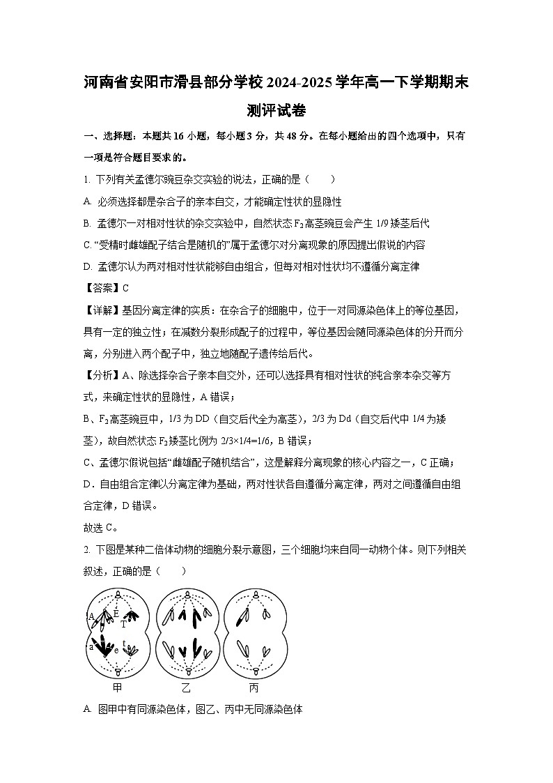 【生物】河南省安阳市滑县部分学校2024-2025学年高一下学期期末测评试卷（解析版）第1页