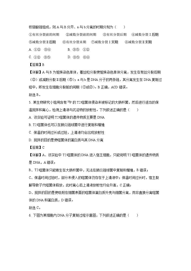 【生物】河南省安阳市滑县部分学校2024-2025学年高一下学期期末测评试卷（解析版）第3页