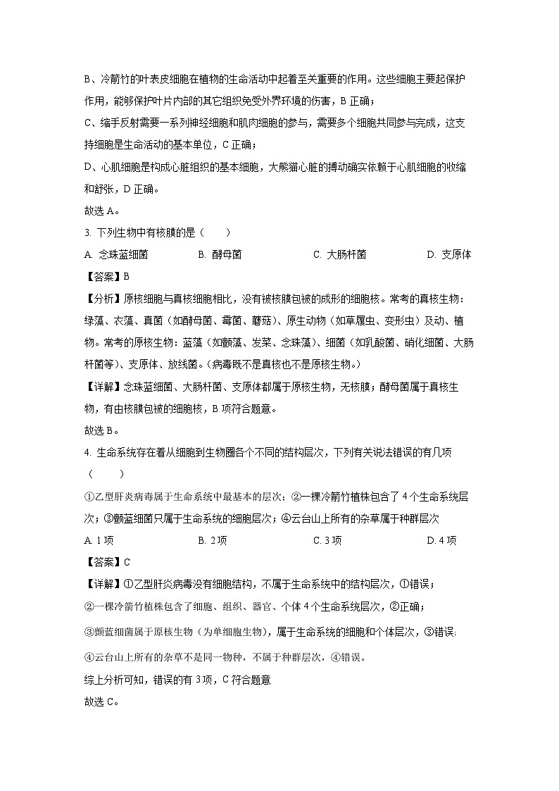 【生物】河南省创新发展联盟2024-2025学年高一上学期9月月考试题（解析版）第2页