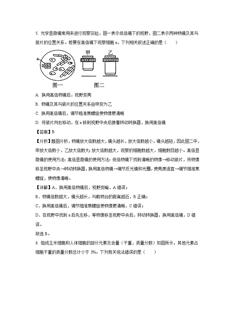 【生物】河南省创新发展联盟2024-2025学年高一上学期9月月考试题（解析版）第3页
