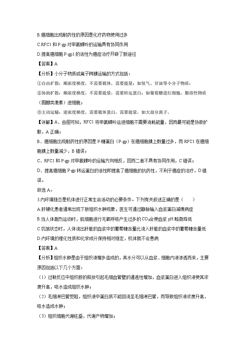 【生物】湖南省名校2024-2025学年高二上学期12月检测（解析版）第2页