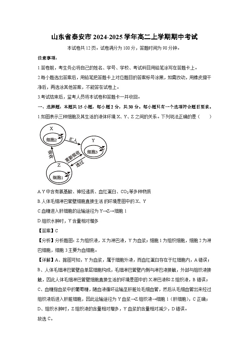 【生物】山东省泰安市2024-2025学年高二上学期期中考试（解析版）第1页