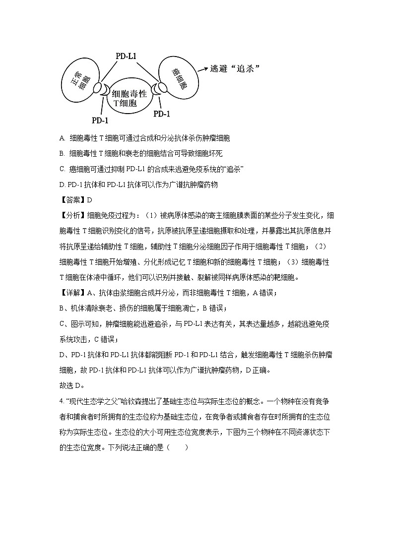 湖北省荆门市2024-2025学年高二下学期6月期末生物试题（解析版）第3页