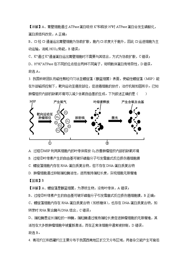 江苏省南京市2025-2026学年高三上学期调研考试生物试题（解析版）第2页