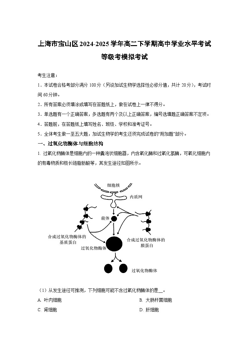 上海市宝山区2024-2025学年高二下学期高中学业水平考试等级考模拟考试 生物试题（解析版）第1页