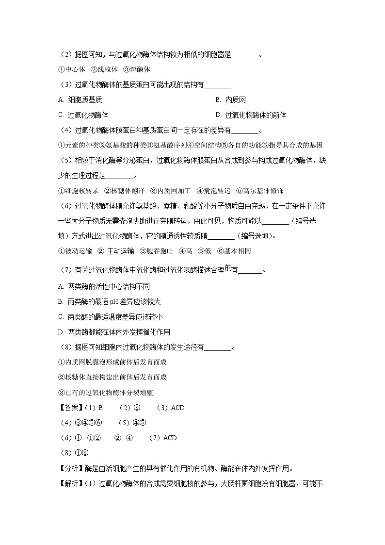 上海市宝山区2024-2025学年高二下学期高中学业水平考试等级考模拟考试 生物试题（解析版）第2页