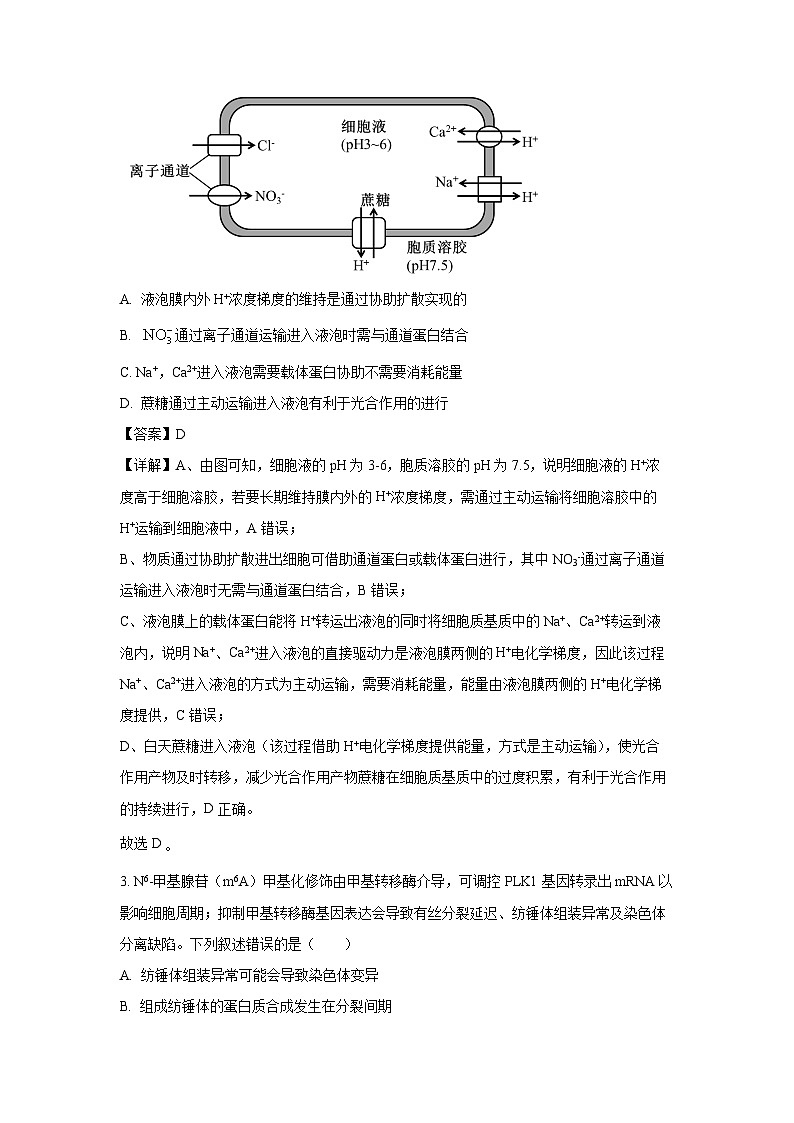 安徽省蚌埠市2025-2026学年高三上学期调研性检测生物试题（解析版）第2页