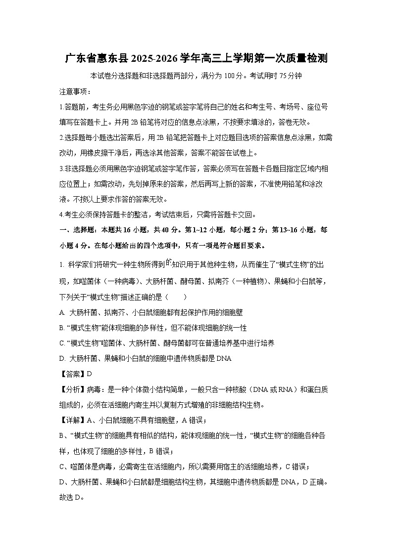 广东省惠东县2025-2026学年高三上学期第一次质量检测生物试题（解析版）第1页
