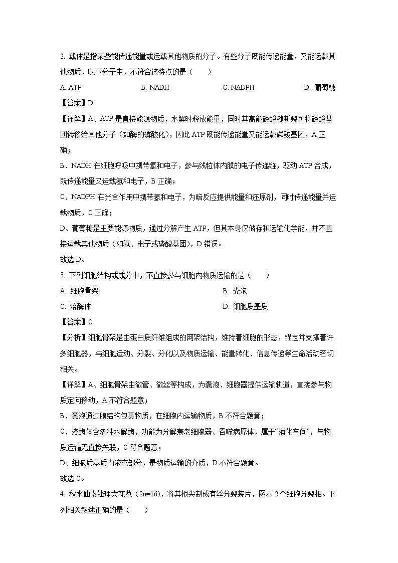 广东省惠东县2025-2026学年高三上学期第一次质量检测生物试题（解析版）第2页