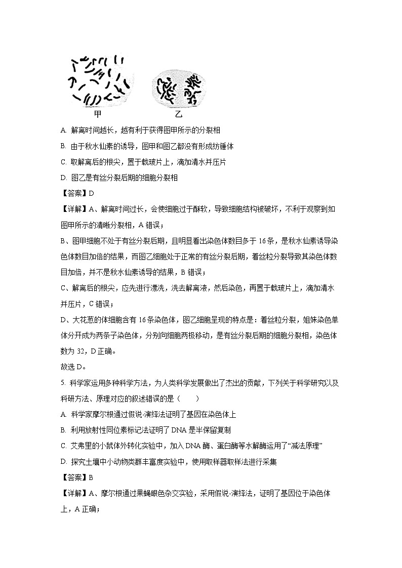 广东省惠东县2025-2026学年高三上学期第一次质量检测生物试题（解析版）第3页