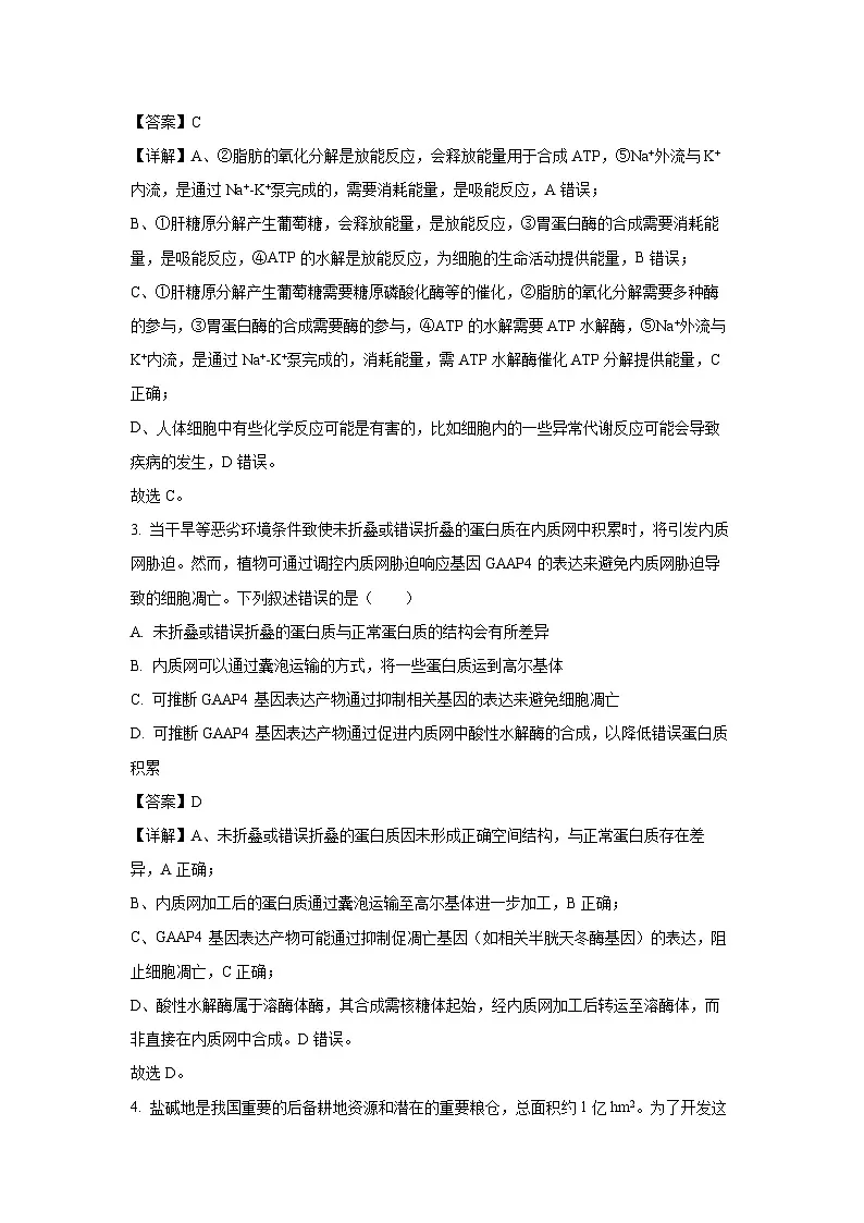广西部分学校2025-2026学年高三上学期开学摸底检测生物试题（解析版）第2页