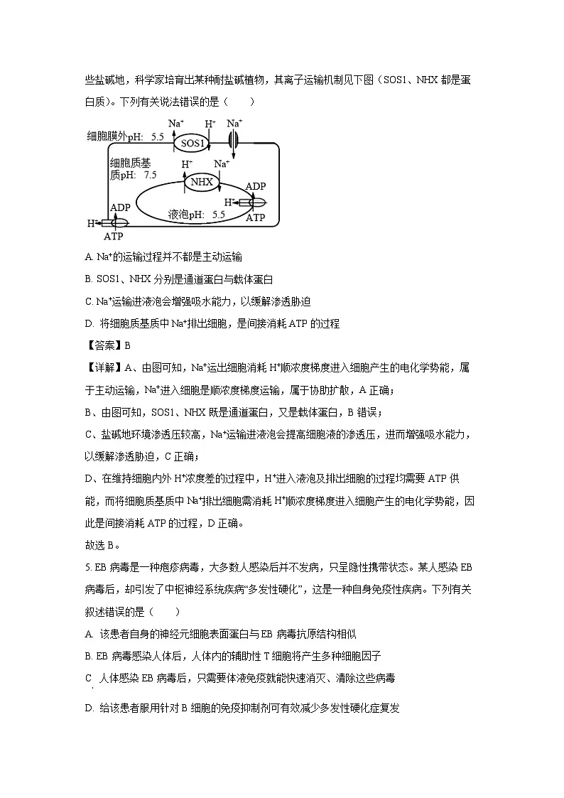 广西部分学校2025-2026学年高三上学期开学摸底检测生物试题（解析版）第3页