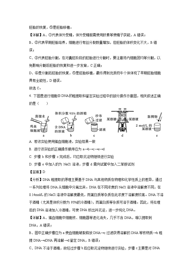河北省石家庄市等2地2024-2025学年高二下学期6月月考生物试题（解析版）第3页