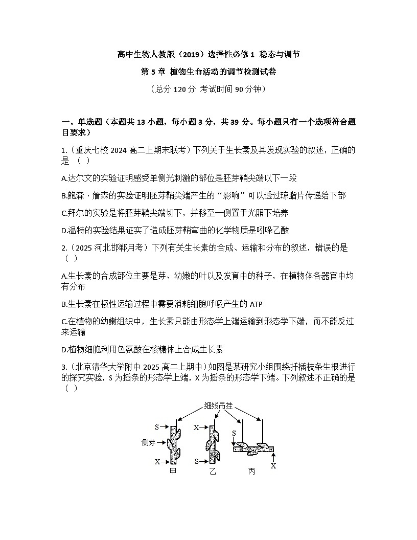 高中生物人教版（2019）选择性必修1 稳态与调节第5章 植物生命活动的调节检测试卷（及答案）第1页