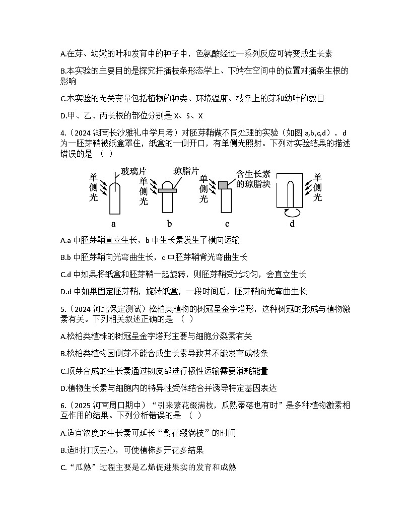 高中生物人教版（2019）选择性必修1 稳态与调节第5章 植物生命活动的调节检测试卷（及答案）第2页