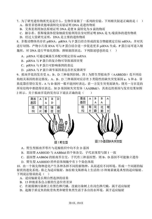 湖北省襄阳五中2025届高三下学期5月适应性考试（一）生物试卷+答案第3页